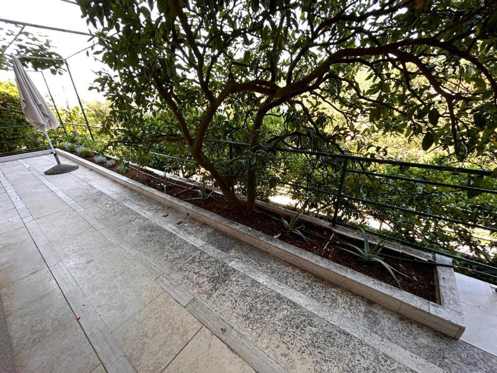Apartment Near The Sea 650 Rabac Exterior photo