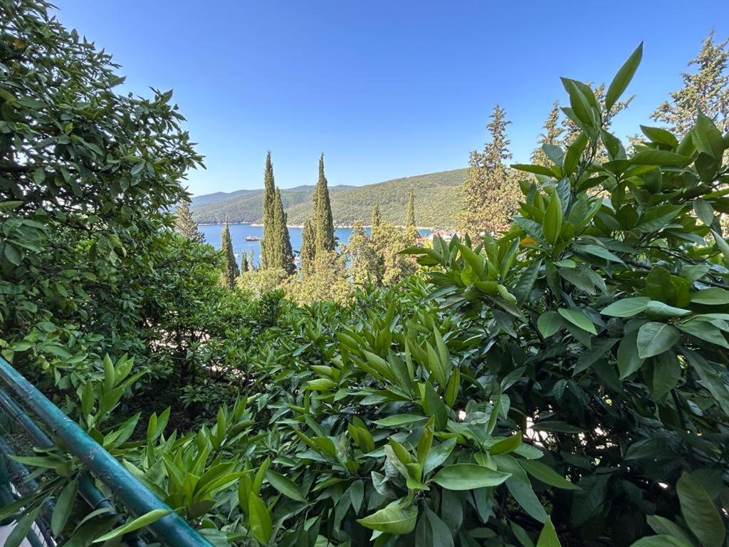 Apartment Near The Sea 650 Rabac Exterior photo